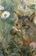 unknow artist Cats with fagelunge in mouth oil painting picture wholesale